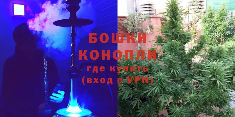 Бошки Шишки OG Kush  Алатырь 